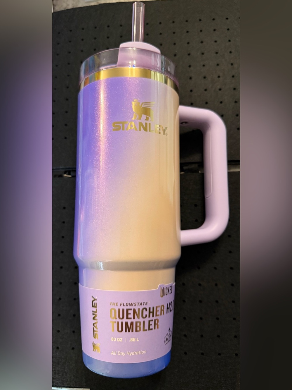 Stanley X Wicked Lavender to Pearl Iridescent Quencher 30oz Mug